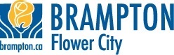 city of brampton - kifinti solutions - crm - ivanti self service portal